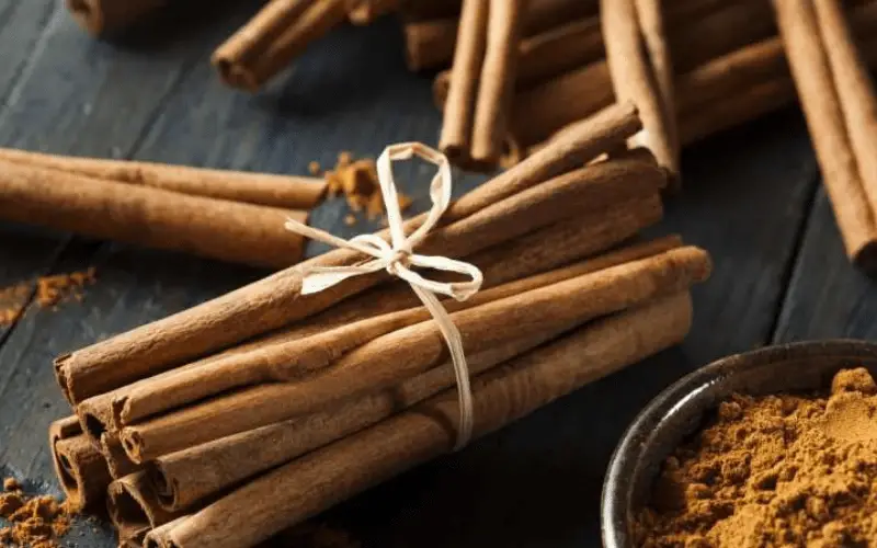 Un masque fait maison pour les peaux souffrant d'acnée et de points noirs